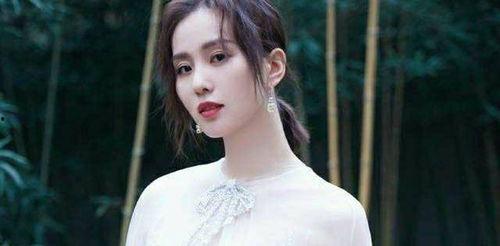 刘诗诗娱乐爆料视频播放,揭秘明星幕后故事  第1张